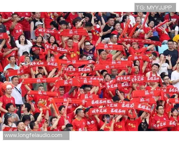 全面解析苏超足球联赛劲旅对决全景观察格局演变及未来发展前瞻趋势 全面解析苏超足球联赛劲旅对决全景观察格局演变及未来发展前瞻趋势