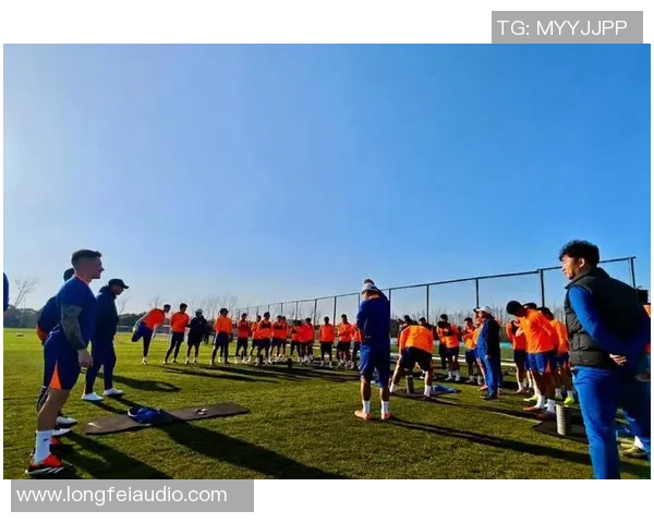 激烈对决迎来高潮 体育赛事掀起全民热潮 新星崭露头角引发球迷热议